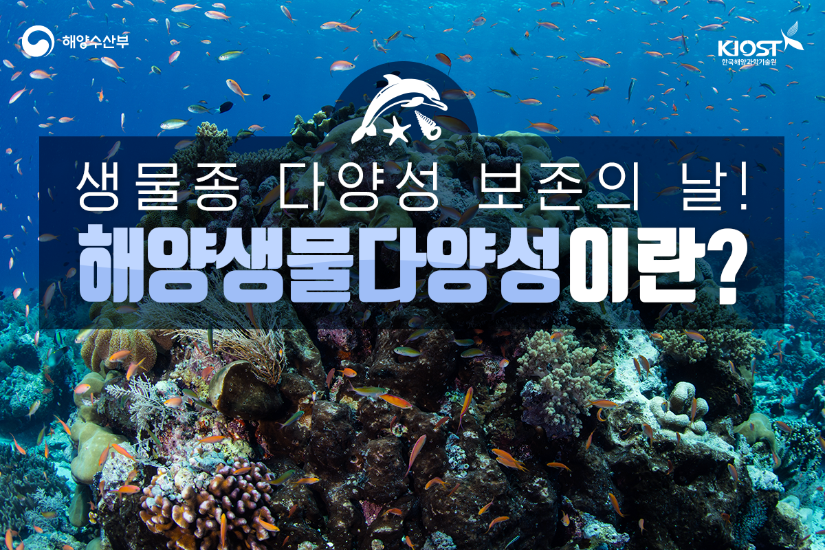 
						생물종 다양성 보존의 날! 해양생물다양성이란?
						
						