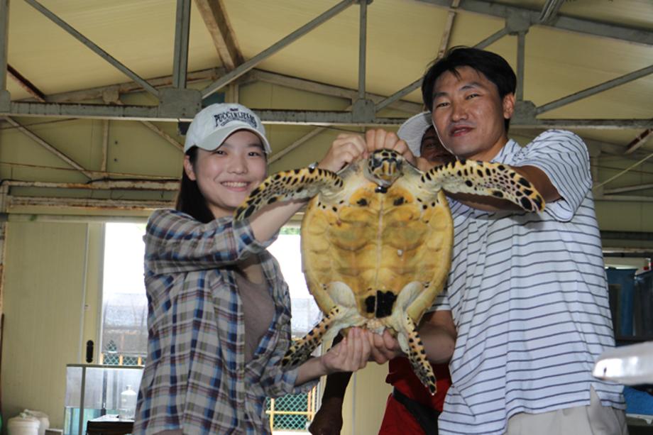 2011 Tropocal Maritime Experience program_image0