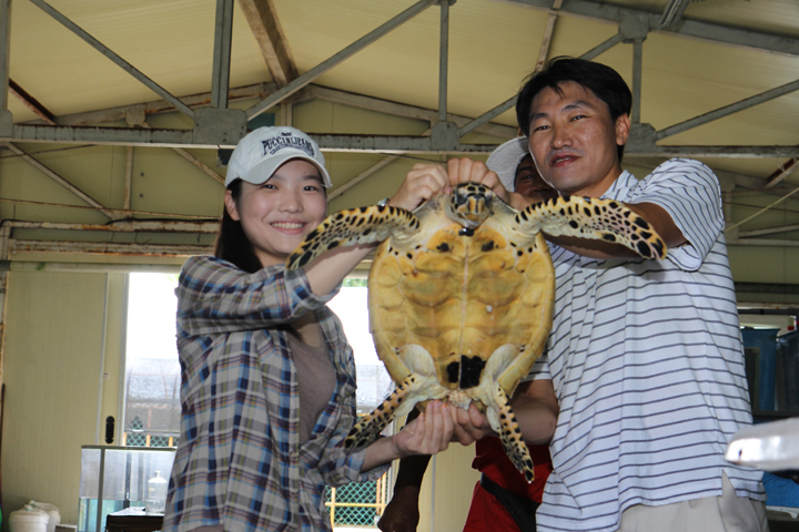 2011 Tropocal Maritime Experience program