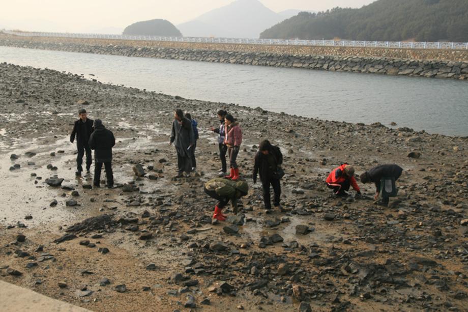 Marine Environment Education: Community Animator in Marine Environment training program_image4