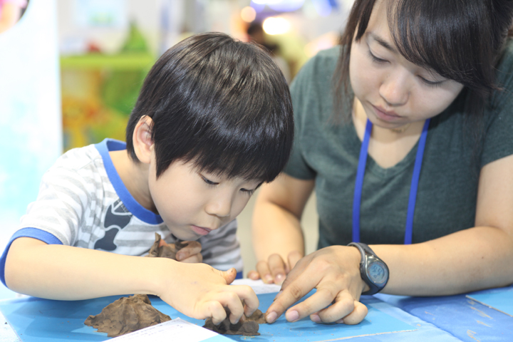 2012 Republic of Korea Science Festival