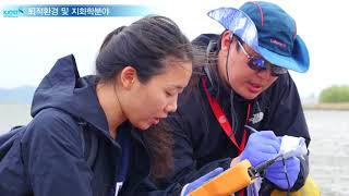 
						낙동강 하구역의 육지-해양 상호작용 및 해양환경정보시스템 구축 연구
						
						