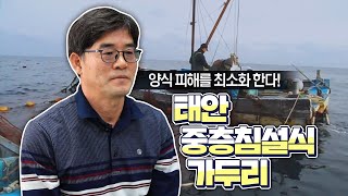 
						새로운 양식법! 태안 중층침설식 가두리
						
						