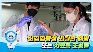 
						신경염증성 뇌질환 예방 또는 치료용 조성물
						
						