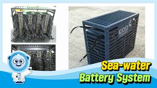 
						Sea-water Battery System
						
						