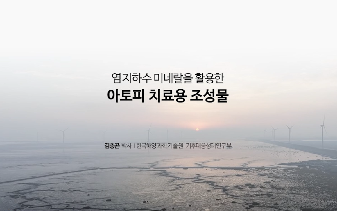 
						염지하수를 포함하는 아토피 피부염 또는 알레르기성 피부염 예방 또는 치료용 조성물
						
						